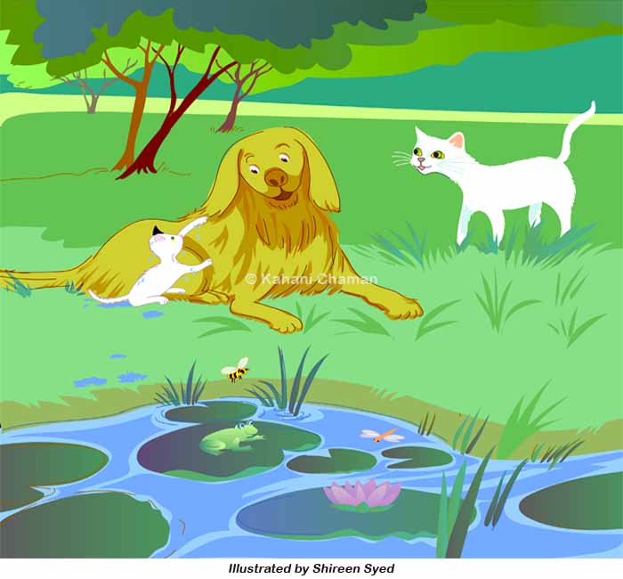 Story Picture